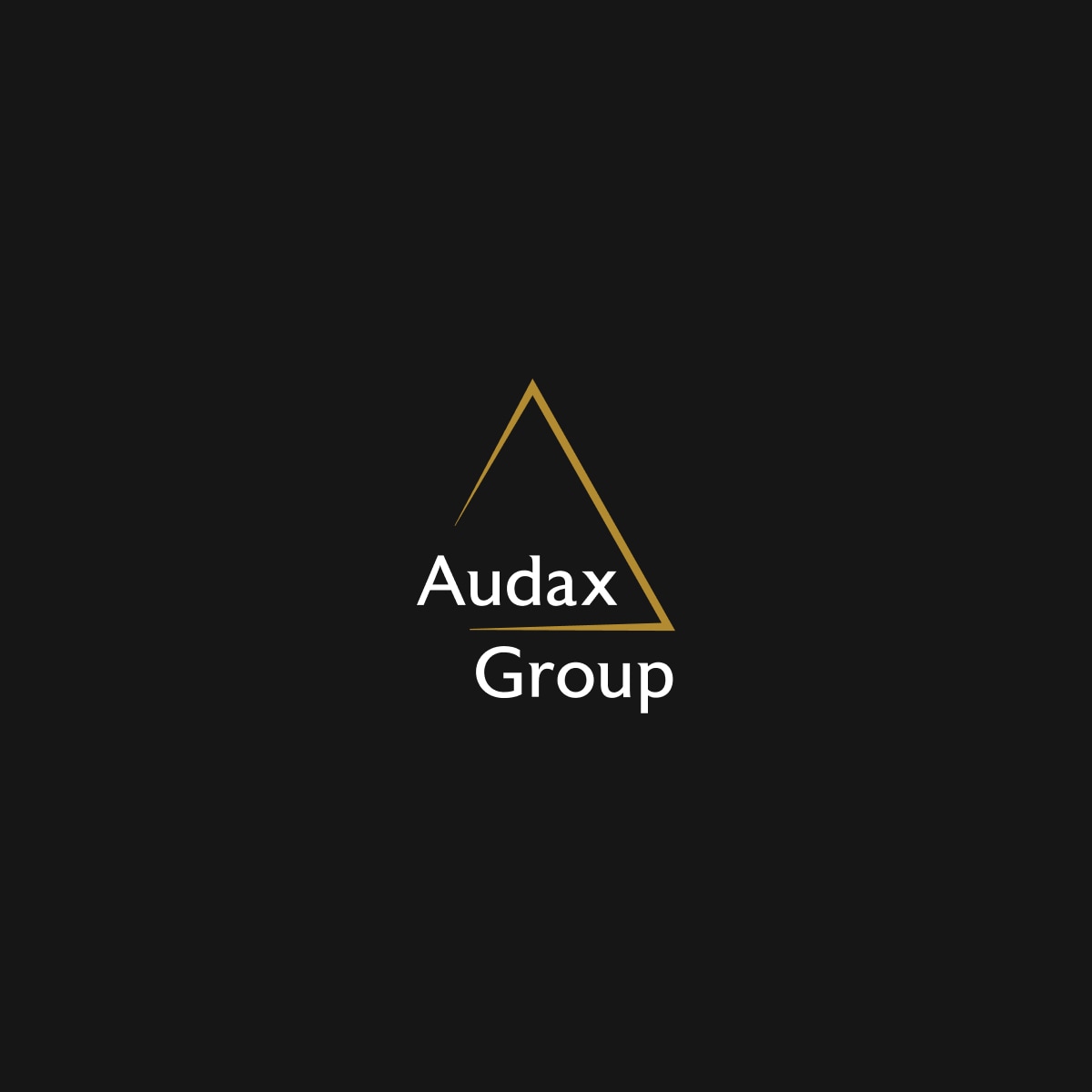 Audax Group Overview